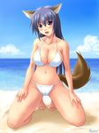  animal_ears beach bikini blue_eyes blue_hair breasts cleavage cloud copyright_request day dog_ears dog_tail highres kagehara_hanzou kneeling large_breasts long_hair open_mouth outdoors solo swimsuit tail 