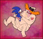  countramsely dr_robotnik sonic_team sonic_the_hedgehog tagme 