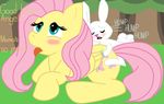  angel_bunny blush cutie_mark dialog duo english_text equine female feral fluttershy fluttershy_(mlp) friendship_is_magic from_behind haiku haiku_oezu horse interspecies lagomorph male mammal my_little_pony open_mouth pegasus penetration pony rabbit sex sncunleashed straight text tongue wings 