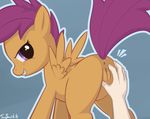  anus blush butt butt_grab cub equine female feral friendship_is_magic hair horse human insomniacovrlrd looking_back mammal my_little_pony pegasus pony purple_eyes purple_hair pussy scootaloo scootaloo_(mlp) tom_smith wings young 