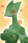  charity pokemon sceptile tagme 