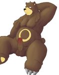  3_toes anthro arms_behind_head balls bear biceps blush body_markings brown_fur chubby claws erection flexing fur grizzly_bear male mammal markings muscles nintendo nude pecs penis pok&#233;mon pokemon pose presenting sitting solo spread_legs spreading toe_claws unknown_artist ursaring video_games yellow_fur 