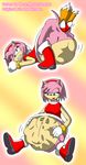  amy_rose meanmotorscooter ndnode sonic_team tails 