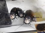  animal animal_ears cat_ears cockroach cosplay insect insect_girl k-on! mask nakano_azusa nakano_azusa_(cosplay) photo what 