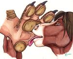  amber_eyes brown_hair equine foot_fetish hair hindpaw horse licking licking_foot male mammal paws plain_background toes tongue tongue_out white_background 