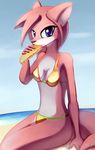  beach bikini blue_eyes breasts canine clothed clothing cute eating female food fox hair looking_at_viewer mammal negativefox sand seaside skimpy solo swimsuit 