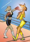  aldebran anthro blood boots boxing boxing_gloves boxing_ring cougar couple duo feline female fight fighting_ring lens_flare lynx mammal midriff 