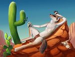  cactus canine coyote desert drink eyewear loincloth lying male mammal myenia on_back outside skull solo sunglasses topless 
