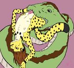  feline kiba male mammal nayokoventila open_mouth reptile scalie size_difference snake vorarephilia vore 