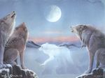  2009 ambiguous_gender canine digitigrade feral fluffy full_moon fur howl khaosdog mammal moon nature outside sitting sky snow spirit standing traditional_media white_fur wolf 