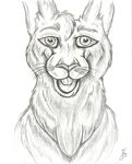  black_and_white feral korey_flynn lagomorph male mammal monochrome portrait rabbit sketch smile smirk solo teeth 