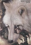  2009 canine factory fur khaosdog mammal monochrome sad smoke solo tears traditional_media white_fur wolf 
