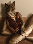  bottomless breasts canine clitoris clothed clothing collar coyote female half-dressed inviting mammal panties panties_aside pussy realistic shadow slash0x sofa solo spread_legs spread_pussy spreading underwear wall 
