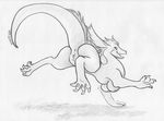  anus back_turned black_and_white breasts clitoris dragon female feral kaputotter leaping looking_back monochrome nipples non-mammal_breasts nude presenting pussy raised_tail sketch solo 