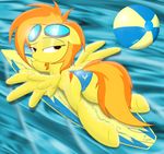  beach bikini butt clothed clothing cutie_mark ear equine female feral friendship_is_magic hair hooves horse looking_at_viewer mammal multi-colored_hair my_little_pony outside pegasus pony presenting seaside seductive skimpy solo spitfire_(mlp) spitshy swimsuit tight_clothing water wings wonderbolts_(mlp) 