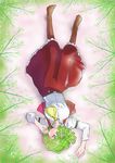  ascot belt black_legwear goton_goton green_hair kazami_yuuka lying no_shoes on_back pantyhose profile red_eyes short_hair solo touhou upside-down vest 