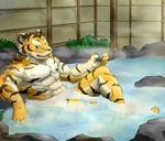  alcohol anthro beverage biceps big_muscles blue_eyes drink feline fur green_eyes hot_spring looking_at_viewer male mammal muscles nude pecs pool pose solo steam tiger tiger_unknown_artist water wildheit 