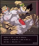  balls blood blush cum cum_on_chest cum_on_face cum_on_self cum_on_stomach erection feline male mammal muscles nipples pecs penis scratches solo thick_penis tiger translated unknown_artist 