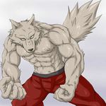  anthro biceps big_muscles black_nose bulge canine chest_tuft clothed clothing fangs flexing fur grey_background grey_fur grin half-dressed looking_at_viewer male mammal muscles pants pecs plain_background pose smile solo standing teeth toned topless tuft unknown_artist were werewolf wildheit wolf yellow_eyes 