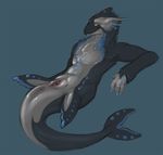  amber_eyes anus black black_skin blue blue_skin canine cetacean chest_tuft clitoris cuntboy dragon female fins flat_chested fur hybrid intersex looking_at_viewer lying mammal marine nails nude orca presenting pussy smile solo tojo_the_thief tuft whale white wolf 