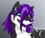  canine dog fur grey grey_fur hair husky k9 kunako lester lesterhusky long_hair male mammal purple purple_hair solo 