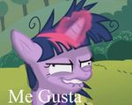  equine female friendship_is_magic insane me_gusta my_little_pony twilight_sparkle_(mlp) 