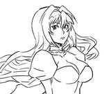  bb_(baalbuddy) breasts cleavage collar greyscale large_breasts long_hair monochrome puffy_sleeves sekirei solo tsukiumi very_long_hair 