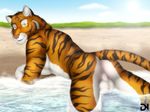  anthro balls beach biceps big_muscles butt cloud dream_and_nightmare feline green_eyes looking_at_viewer male mammal muscles on_stomach sand seaside sky solo sunny tiger unknown_artist 
