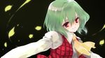  bad_id bad_pixiv_id green_hair kazami_yuuka ni_(2shi) petals red_eyes short_hair solo touhou 