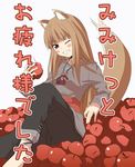  animal_ears apple date_(senpen) food fruit holo long_hair solo spice_and_wolf tail wolf_ears 