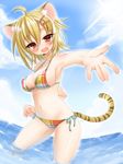  :d ahoge animal_ears bikini blonde_hair blush breasts brown_eyes fang foreshortening hair_ornament hairpin highres inuue_kiyu large_breasts looking_at_viewer navel open_mouth original outstretched_arm outstretched_hand short_hair side-tie_bikini smile solo sparkle strap_gap sunlight swimsuit tail tiger_ears tiger_tail wading water 