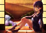  fate/zero fate_(series) flower hair_ribbon hand_on_own_knee hydrangea matou_sakura no_shoes phantania purple_eyes purple_hair ribbon sitting socks solo younger 