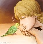  barnaby_brooks_jr bird blonde_hair green_eyes male_focus nose_bite parakeet parrot solo tiger_&amp;_bunny yasucaflex 