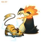  ditb fire lightning no_humans pokemon raichu typhlosion 