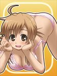  1girl awa blonde_hair blush bra breasts brown_eyes cleavage mizuno_kaede nyan_koi nyan_koi! open_mouth panties paw_pose pink_bra pink_panties underwear 