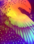  abstract ambiguous_gender avian beak bird colored colorful crying falvie feathers rainbow solo star tears wings 