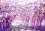  cherry_blossoms lantern light_rays monorisu no_humans original paper_lantern scenery sunbeam sunlight torii 
