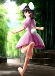  :3 animal_ears bamboo bamboo_forest barefoot black_hair bunny_ears bunny_tail feet forest girly_running inaba_tewi looking_back nature nyagoro red_eyes running short_hair smile soles solo tail touhou 