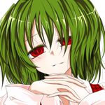  dress_shirt green_hair hands_clasped kazami_yuuka own_hands_together plaid plaid_vest red_eyes shirt short_hair smile solo touhou ugatsu_matsuki upper_body vest 