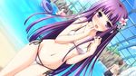  3girls bare_shoulders bikini blush dutch_angle flower game_cg hair_flower hair_ornament iro_ni_ide_ni_keri_waga_koi_wa ko~cha long_hair multiple_boys multiple_girls navel open_mouth purple_eyes purple_hair shiny shiny_skin side-tie_bikini solo_focus swimsuit tenjou_kikyou thigh_gap very_long_hair 