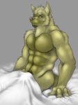  abs anthro bed biceps big_muscles blanket brown_fur brown_hair brown_nose bulge canine chest_tuft dissimulated dog fur grey_eyes hair male mammal muscles nipples nude pecs pose pubes sitting solo toned tuft 
