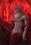  canine fire magic male mammal muscles null-ghost solo wolf 