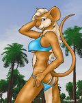 anthro bikini blue_eyes breasts butt clothed clothing female mammal mouse outside pose rodent skimpy solo swimsuit tan_line under_boob undressing wookiee_(artist) 