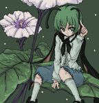  antennae cape fireflies flower green_eyes green_hair leaf lowres nora_(nrkr) solo touhou wriggle_nightbug 