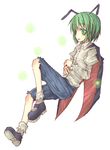  antennae bad_id bad_pixiv_id cape floating green_eyes green_hair insect_girl natsuk solo touhou wriggle_nightbug 