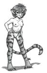 breath_of_fire cat feline female fundoshi katt loincloth mammal topless underwear 
