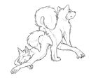  anthro anthro_on_feral ass_to_ass ass_up bestiality butt_to_butt canine catwolf dog eyes_closed feral fox gay interspecies knotting lying male mammal on_front penis raised_tail sex sketch tied 