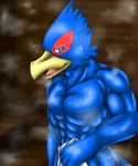  avian biceps bird falco_lombardi male mike muscles nintendo nude pecs star_fox sweat towel video_games 