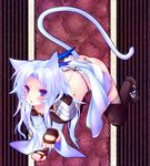  animal_ears bad_id bad_pixiv_id blue_eyes boots cat_ears final_fantasy final_fantasy_ix fingerless_gloves gloves kuja long_hair male_focus minatosaiga otoko_no_ko silver_hair solo tail thighhighs 