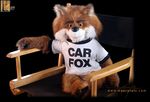 canine car_fox carfax carfox chair doll fox fur male mammal nightmare_fuel orange_fur rape_face sitting solo unknown_artist 